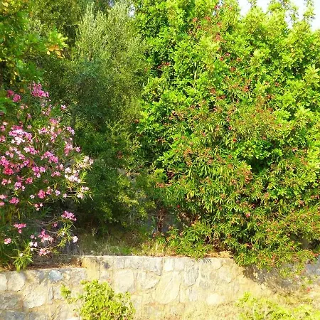Astonishing Seaview Studio 3Km To The Beach Apartament Kalamata